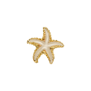 Estrella de mar (pequeña)