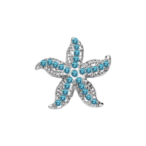 Étoile de mer bleue